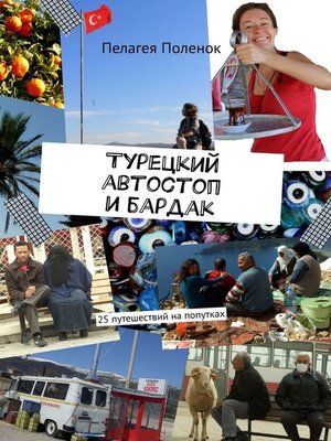 cover image of Турецкий автостоп и бардак